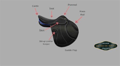 Guide to parts and functions of the English Saddle | Breeches.com