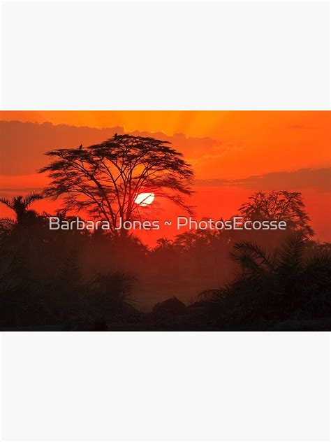 "African Sunrise, Amboseli National Park, Kenya, Africa." Photographic Print by PhotosEcosse ...