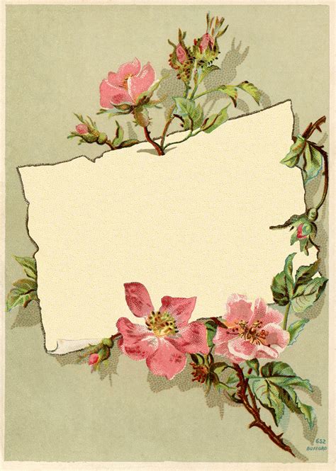 Old Paper Flower Border Imagens Vintage Molduras Vint - vrogue.co