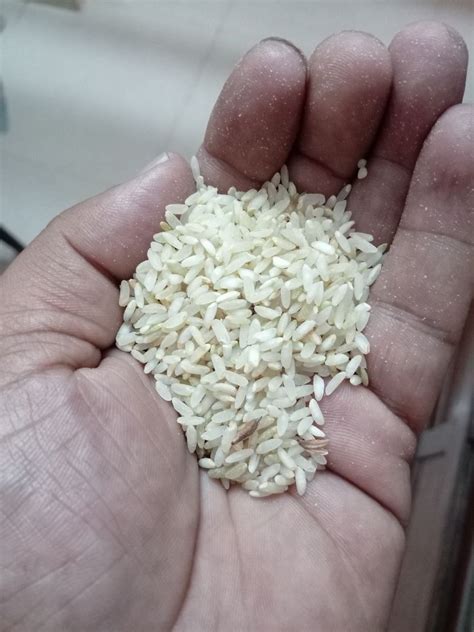 Kalanamak Rice Gorakhpur » Welcome to JaivikFood a brand by Himalayan ...