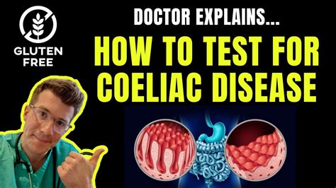 How to test for Celiac disease (Coeliac Disease) | IgA TtG and Biopsy explained - YouTube