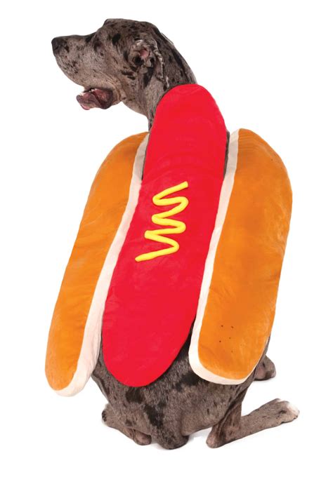 Hot Dog + Ketchup + Mustard Human & Dog Costume Combo - Pet Costume Center