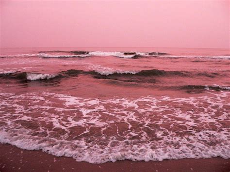 Pink Aesthetic Background Ocean - Download all photos and use them even ...