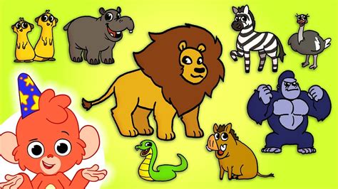 Safari Animals Names