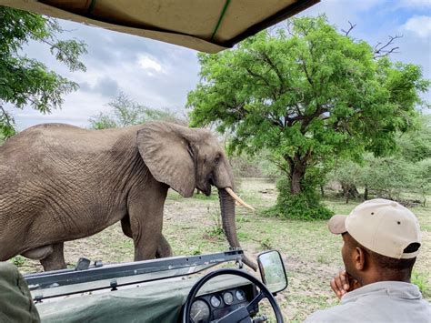 A Guide to Safari in Selous Game Reserve, Tanzania - The Little Backpacker