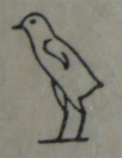 Avian Hieroglyphs in Ancient Egypt | Towards Dolly