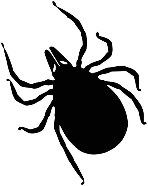 Tick insect PNG