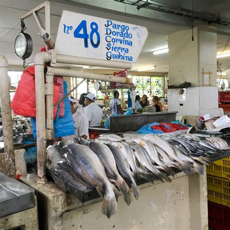 Panama City Fish Market - Our Visit to Mercado de Mariscos in Panama ...