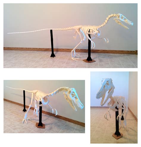 Velociraptor Skeleton Papercraft (Build) by Gedelgo on DeviantArt