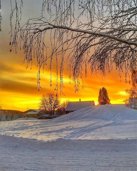 Winter Sunrise/ Sunset Winter Sunrise, Sunrise Sunset, Beautiful ...