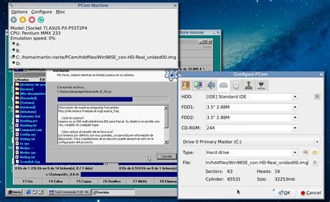 Using physical hard disk in PCem on UNIX/Linux systems - PCem