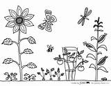 Garden coloring pages To Download And Print For Free sketch template