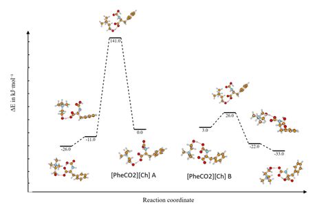 Rearrangement reactions of zwitterionic carbamate of [Gly] in the ...