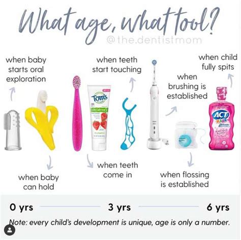 What are Age Appropriate Dental Tools for Kids? | Treehouse Kids Dentist