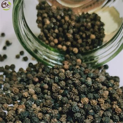 Whole Black Pepper at 540.00 INR in Kochi, Kerala | Caregreen Incorporation