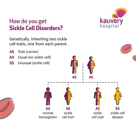 Sickle Cell Disease: An Overview