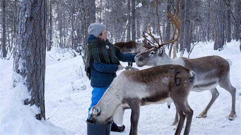 Can best-practice travel protect Finland’s Sámi culture? | Adventure.com