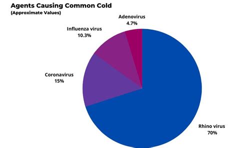 Rhinovirus Infection - Symptoms | Treatment | Prevention