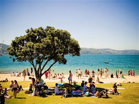 Wellington Accommodation | Distinction Wellington Century City Hotel | Wellington Attractions