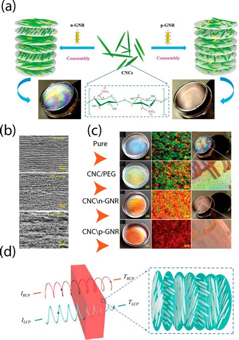 Chiral Liquid Crystalline Properties of Cellulose Nanocrystals ...