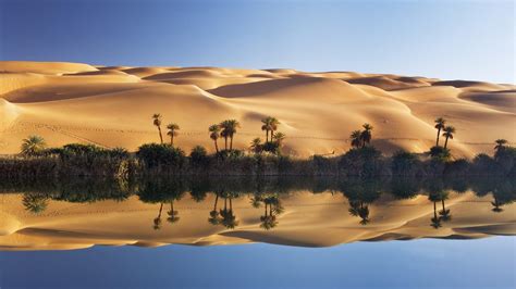 Desert Oasis Wallpaper Hd