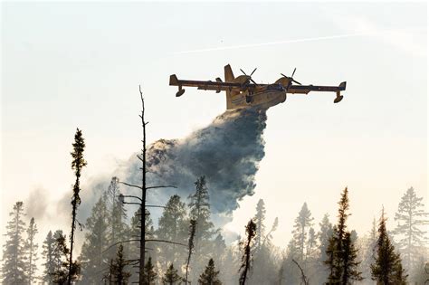 The risk of forest fires in Toronto is currently considered extreme ...