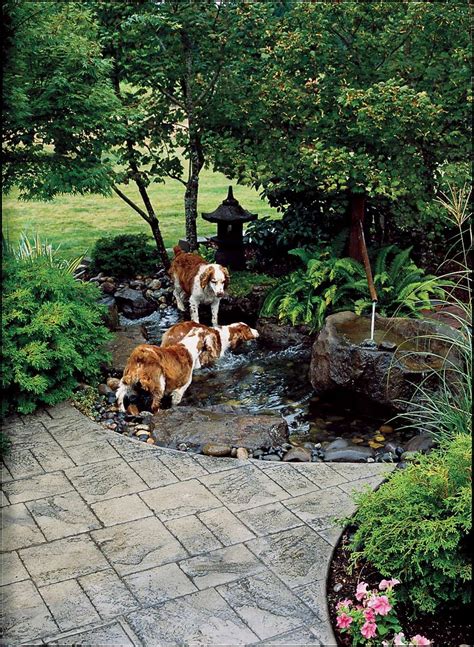 dog proof yard ideas - Amazement Column Fonction