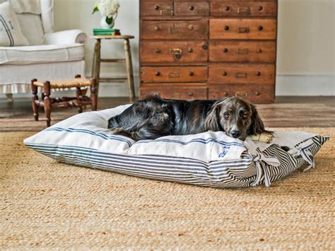 Pet Projects: Make a DIY Dog Bed | HGTV