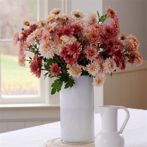 Heirloom Chrysanthemum Bouquet | White Flower Farm