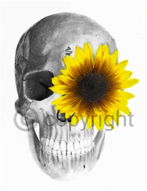 Sunflower Skull, Graphite Drawing Giclee Print - Prison Art Art Listing ...