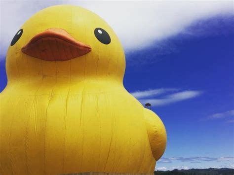 These people are really ducking excited about the giant rubber bath toy ...