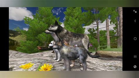 Wolfquest gameplay - YouTube