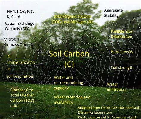 Health from the Soil Up | Virginia Farm to Table