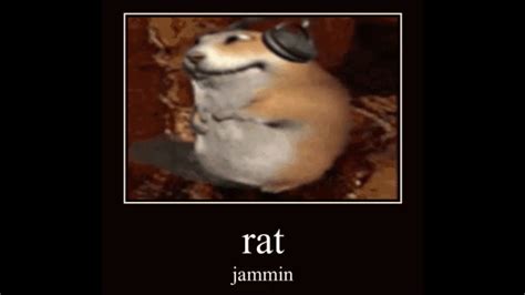 rat jammin (original) - YouTube