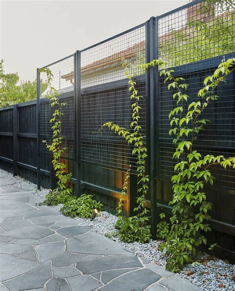 How to screen the neighbours with our version of a green wall. Perfect for tight spots and ...