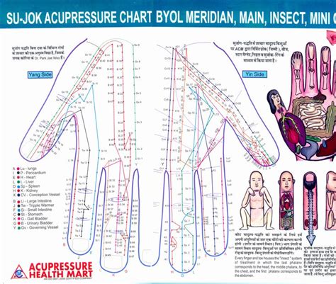 Sujok Points Chart Meridians And Acupoints Chart Magnetic Therapy Acupressure Points Pdf Ch ...