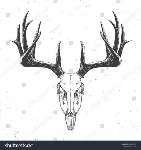 2,449 imágenes de Deer skull drawing - Imágenes, fotos y vectores de stock | Shutterstock