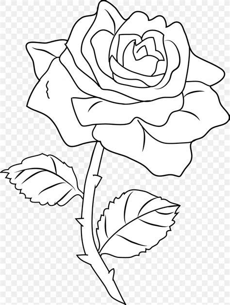 Line Art Drawing Rose Coloring Book Clip Art, PNG, 4604x6112px, Line ...