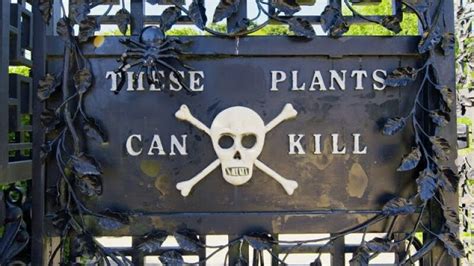 Welcome to the world's most poisonous garden | Mashable