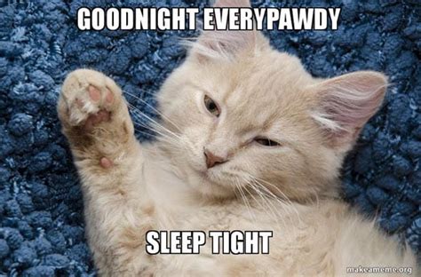 50 Cutest Goodnight Memes - SayingImages.com