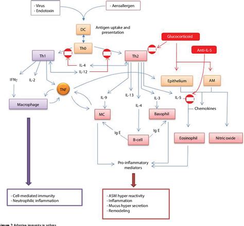 mepolizumab 100 MG Injection [Nucala] | Semantic Scholar