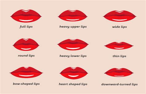 Why Are My Lips Shaped Weird | Lipstutorial.org