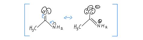 Amide Examples