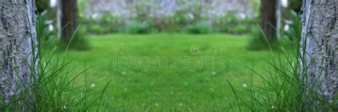 134,914 Nature Spring Banner Stock Photos - Free & Royalty-Free Stock Photos from Dreamstime