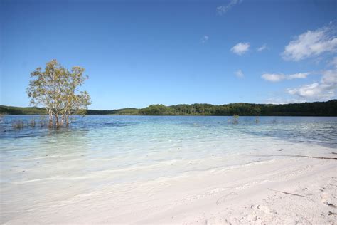 Lake McKenzie Fraser Island QLD Australia | Fraser island, National parks, Island