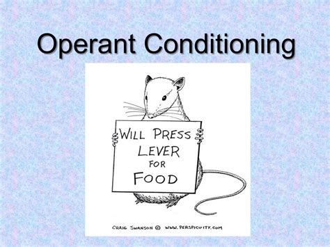 Operant Conditioning Examples