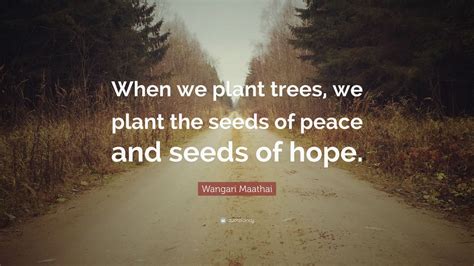 Wangari Maathai Quote: “When we plant trees, we plant the seeds of ...