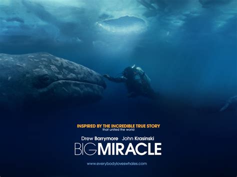 Poster Big Miracle (2012) - Poster Misiune de salvare - Poster 7 din 9 - CineMagia.ro