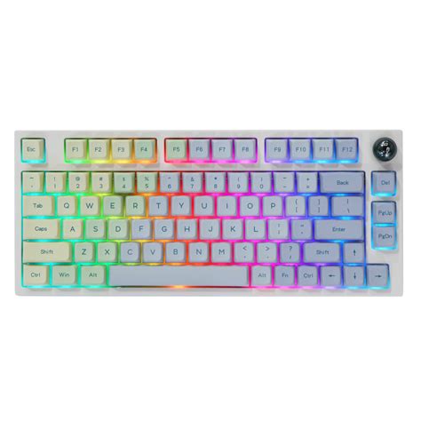 Buy EPOMAKER TH80 Pro 75% Hot Swap RGB 2.4Ghz/Bluetooth 5.0/Wired Gaming Mechanical Keyboard ...