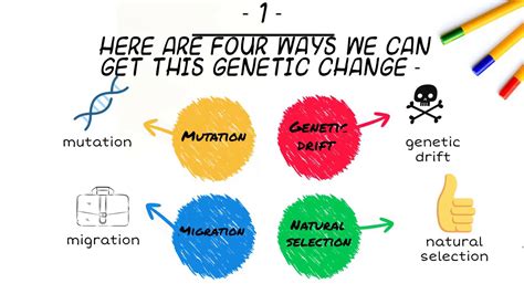 Mutation, migration, genetic drift, and natural selection - Vern Bender